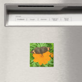 Butterfly Magnet (Insitu (Vaatwasser))