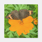 Butterfly Magnet (Voorkant)
