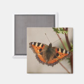 Butterfly Magnet (Voorkant / Achterkant)