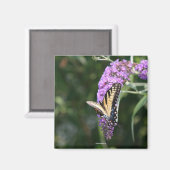 Butterfly magnet (Voorkant / Achterkant)