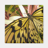 Butterfly Magnet (Voorkant)