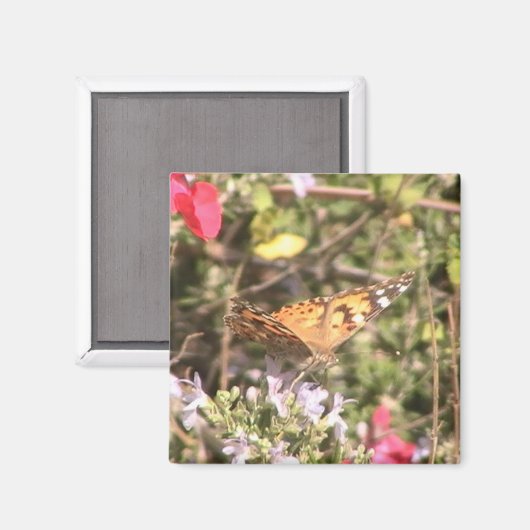 Butterfly Magnet (Voorkant / Achterkant)
