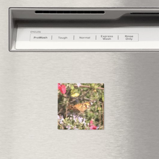 Butterfly Magnet (Insitu (Vaatwasser))