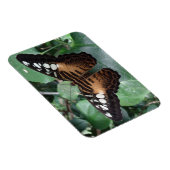 Butterfly Magnet Magneet (Rechterzijde)