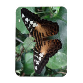 Butterfly Magnet Magneet (Verticaal)