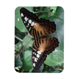 Butterfly Magnet Magneet
