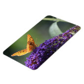 Butterfly Magnet Magneet (Linkerzijde)