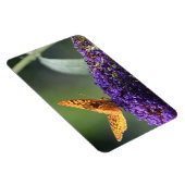 Butterfly Magnet Magneet (Rechterzijde)