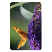 Butterfly Magnet Magneet (Verticaal)