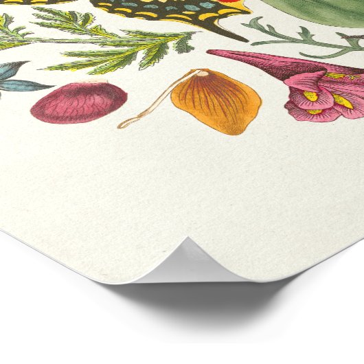 Butterfly Mandala Poster (Hoek)