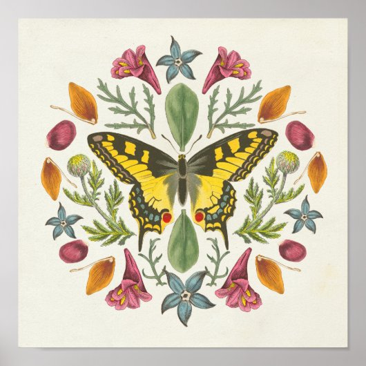 Butterfly Mandala Poster (Voorkant)