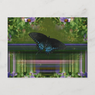 Butterfly Mantle Briefkaart