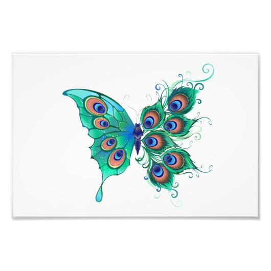 Butterfly met Green Peacock Feathers Foto Afdruk (Voorkant)