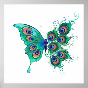 Butterfly met Green Peacock Feathers Poster