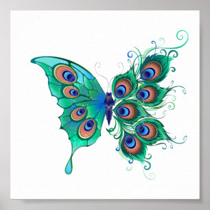 Butterfly met Green Peacock Feathers Poster