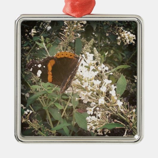 Butterfly Metalen Ornament (Voorkant)