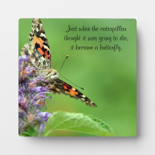 Butterfly Metamorfose Fotoplaat (Voorkant)