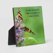 Butterfly Metamorfose Fotoplaat (Voorkant)