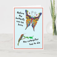 Butterfly Metamorfose