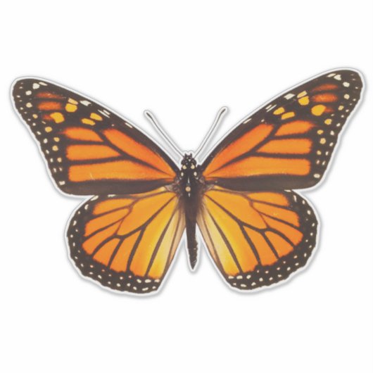 Butterfly Monarch 14-inch vinylSticker Sticker (Voorkant)