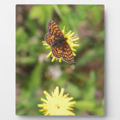 Butterfly - Mooi! Fotoplaat (Voorkant)