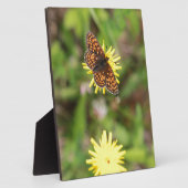 Butterfly - Mooi! Fotoplaat (Zijkant)