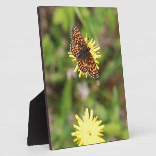 Butterfly - Mooi! Fotoplaat (Zijkant)