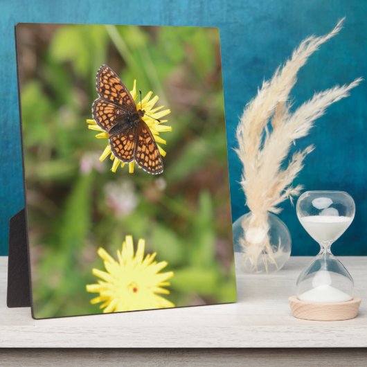 Butterfly - Mooi! Fotoplaat (Zijkant)