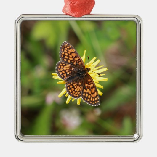 Butterfly - Mooi! Metalen Ornament (Voorkant)