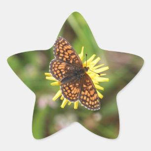 Butterfly - Mooi! Ster Sticker