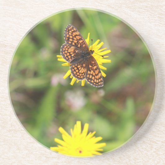Butterfly - Mooi! Zandsteen Onderzetter (Voorkant)