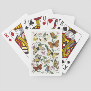 Butterfly & Moth beroemd gemaakt door Paul Gervais Pokerkaarten