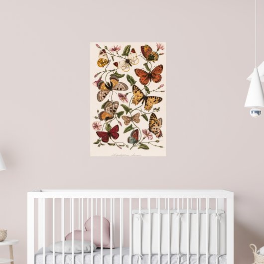 Butterfly & Moth beroemd gemaakt door Paul Gervais Poster (Kinderkamer 2)