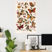 Butterfly & Moth beroemd gemaakt door Paul Gervais Poster (Thuiskantoor)
