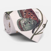 Butterfly & Moth beroemd gemaakt door Paul Gervais Stropdas (Opgerold)