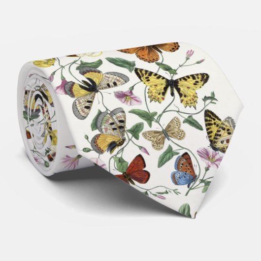 Butterfly & Moth beroemd gemaakt door Paul Gervais Stropdas (Opgerold)