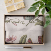 Butterfly & Moth beroemd gemaakt door Paul Gervais Tissuepapier (Geschenk)