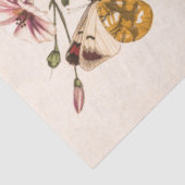 Butterfly & Moth beroemd gemaakt door Paul Gervais Tissuepapier (Detail)