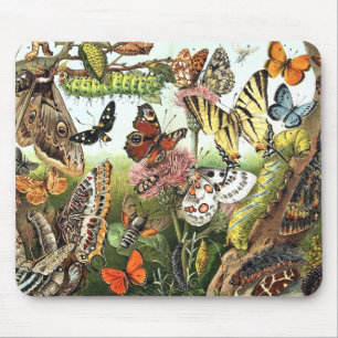 Butterfly Moth Caterstone Wildlife Bugs Mousepad Muismat