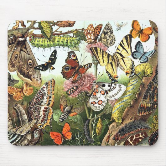 Butterfly Moth Caterstone Wildlife Bugs Mousepad Muismat (Voorkant)