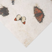 Butterfly Moth Dragonfly Ladybug Insect Parchment Tissuepapier (Detail)