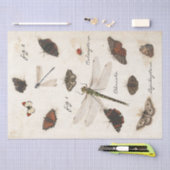 Butterfly Moth Dragonfly Ladybug Insect Parchment Tissuepapier (Craft)