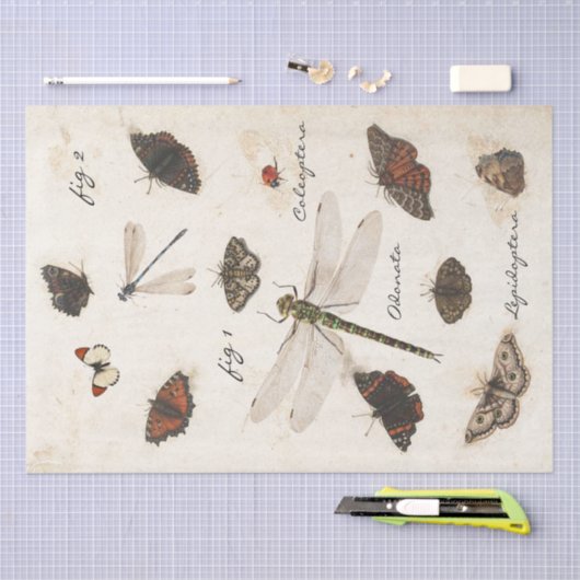 Butterfly Moth Dragonfly Ladybug Insect Parchment Tissuepapier (Craft)