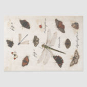 Butterfly Moth Dragonfly Ladybug Insect Parchment Tissuepapier (Voorkant)