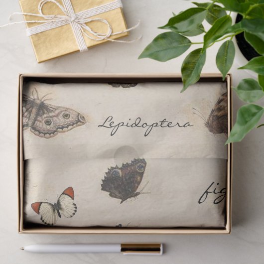 Butterfly Moth Dragonfly Ladybug Insect Parchment Tissuepapier (Geschenk)