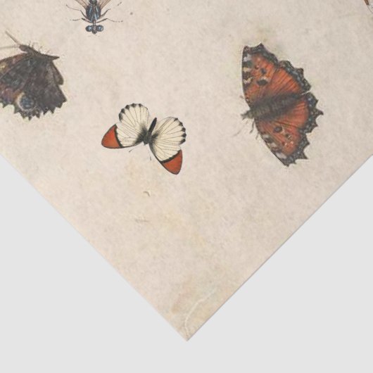 Butterfly Moth Dragonfly Ladybug Insect Parchment Tissuepapier (Detail)