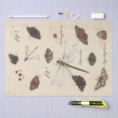 Butterfly Moth Dragonfly Ladybug Insect Parchment Tissuepapier (Craft)