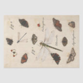 Butterfly Moth Dragonfly Ladybug Insect Parchment Tissuepapier (Voorkant)