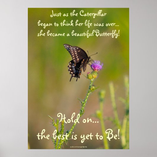Butterfly Motivatie Inspirerend Foto Poster (Voorkant)