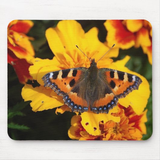  Butterfly Mousepad Muismat (Voorkant)
